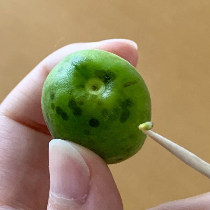爪楊枝を使って、青梅のヘタをきれいに取り除いているところです。
